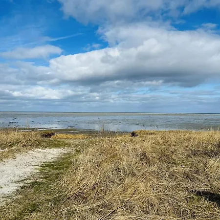 Swale - 500m From The Sea By Interhome * Ørsted
